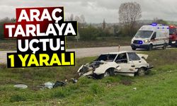 Araç Tarlaya Uçtu: 1 yaralı