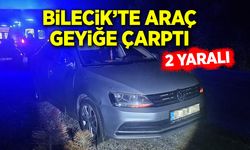 Araç geyiğe çarptı: 2 yaralı