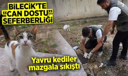 Bilecik’te “Can Dostu” Seferberliği