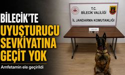 Bilecik'te Uyuşturucu Sevkiyatına Geçit Yok