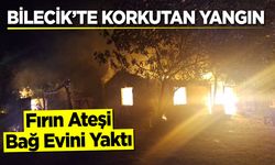 Bilecik'te korkutan yangın