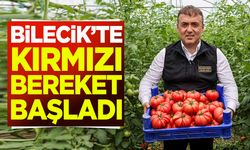 Bilecik'te kırmızı bereket başladı