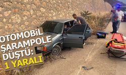 Otomobil şarampole düştü: 1 yaralı