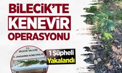 Bilecik’te Kenevir Operasyonu