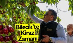 Bilecik'te Kiraz Zamanı