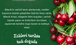 Kökleri tarihte tadı doğada: Bilecik Kirazı Lezzetiyle Dikkat Çekiyor