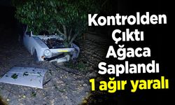 Kontrolden Çıkan Araç Ağaca Saplandı: 1 ağır yaralı