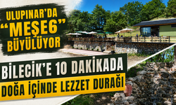 ULUPINAR’DA “MEŞE6” BÜYÜLÜYOR
