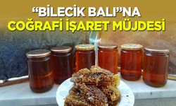Bilecik Balı’na Coğrafi İşaret Müjdesi