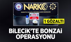 Bilecik'te Bonzai Operasyonu: 1 gözaltı