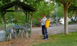 Osmaneli’nde Çocuk Parkları ve Mesire Alanlarında İlaçlama Çalışması