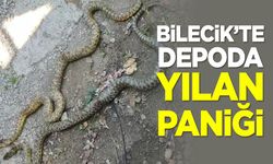 Bilecik'te Depoda Yılan Paniği