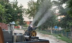 Söğüt’te Yaz Boyu Haşereyle Mücadele Sürüyor