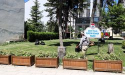 Söğüt’te Yeşil Alanlarda Yoğun Mesai