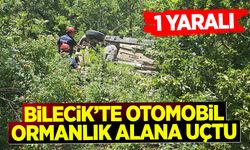 Bilecik'te Otomobil Ormanlık Alana Uçtu: 1 yaralı