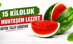 15 kiloluk muhteşem lezzet