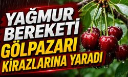 Yağmur Bereketi Gölpazarı Kirazlarına Yaradı