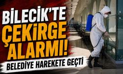 Bilecik'te Çekirge Alarmı! Belediye Harekete Geçti