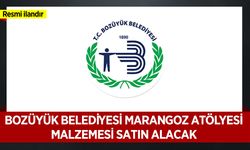 MARANGOZ ATÖLYESİ MALZEMESİ SATIN ALINACAKTIR