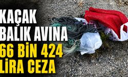 Bilecik'te Kaçak Balık Avına 66 Bin 424 Lira Ceza