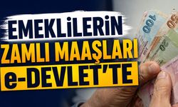 Emeklilerin Zamlı Maaşları e-Devlet’te