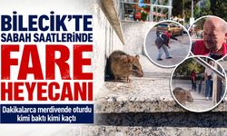 Bilecik'te sabah saatlerinde ''fare'' heyecanı