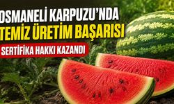 Osmaneli Karpuzu'nda Temiz Üretim Başarısı