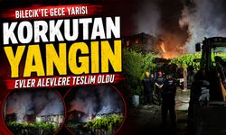 Bilecik'te Gece Yarısı Korkutan Yangın
