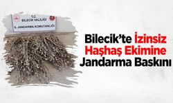 Bilecik'te İzinsiz Haşhaş Ekimine Jandarma Baskını
