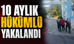 Bilecik'te 10 aylık hükümlü yakalandı