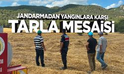 Jandarmadan Yangınlara Karşı Tarla Mesaisi