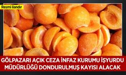 GÖLPAZARI AÇIK CEZA İNFAZ KURUMU İŞYURDU MÜDÜRLÜĞÜ DONDURULMUŞ KAYISI ALACAK