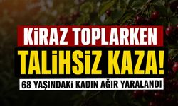 Kiraz Toplarken Talihsiz Kaza!