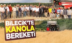 Bilecik'te Kanola Bereketi
