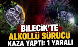 Bilecik'te Alkollü Sürücü Kaza Yaptı: 1 Yaralı