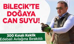 Bilecik’te Doğaya Can Suyu!