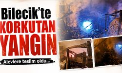 Bilecik’te Korkutan Yangın: Alevlere teslim oldu...