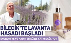 Bilecik'te Lavanta Hasadı Başladı: Ekonomiye ve Kadın Emeğine Katkı Sağlıyor