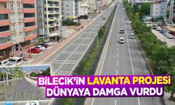 Bilecik’in Lavanta Projesi Dünyaya Damga Vurdu