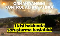 Bilecik'te Orman Yangını Kontrol Altına Alındı: 1 kişi hakkında soruşturma başlatıldı