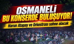 Osmaneli Bu Konserde Buluşuyor!