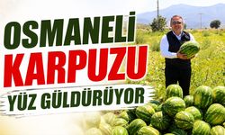 Osmaneli Karpuzu Yüz Güldürüyor