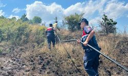 Pazaryeri’nde Ormanlık Alanda Çıkan Yangın Kontrol Altına Alındı