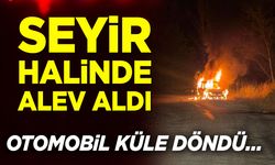 Gece yarısı alev alev yandı