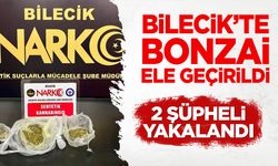 Bilecik'te Bonzai Ele Geçirildi: 2 Şüpheli Yakalandı