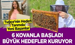 6 Kovanla Başladı, Büyük Hedefler Kuruyor