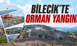 Bilecik’te 15 Hektarlık Alanı Etkileyen Orman Yangın