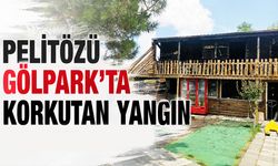 Pelitözü Gölpark'ta korkutan yangın