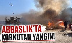 Abbaslık'ta korkutan yangın!