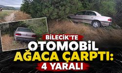 Bilecik'te Otomobil Ağaca Çarptı: 4 Yaralı